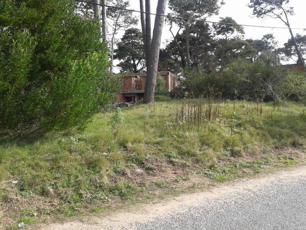 Terrain à Maldonado, Uruguay No. 15146