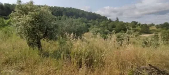 Casa T1 em Lleida, Spain N.º 144331 4