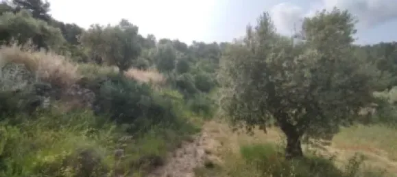 Casa T1 em Lleida, Spain N.º 144331 10