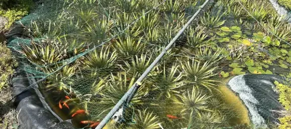 Земельный участок в Markisch-Oderland, Германия № 329575 9