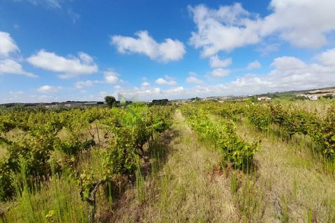 Земельный участок в Лориньян, Португалия № 342433