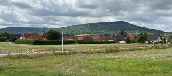  Land in Hameln-Pyrmont, Germany No. 254470 4