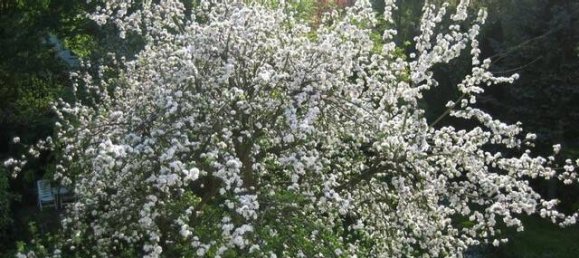 Apartamento de 4 divisões em Bremen, Germany N.º 220960 16