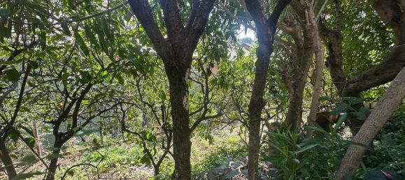 3غرفة منزل في Genoa, Italy رقم 310660 44