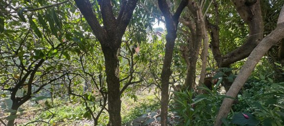 3غرفة منزل في Genoa, Italy رقم 310660 36