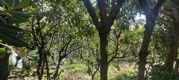 3غرفة منزل في Genoa, Italy رقم 310660 7