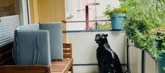 Studio in Freiburg im Breisgau, Germany, Nr. 313742 8