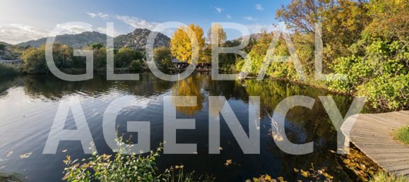 8 bedrooms House in Manzanares el Real, Spain No. 188117 29