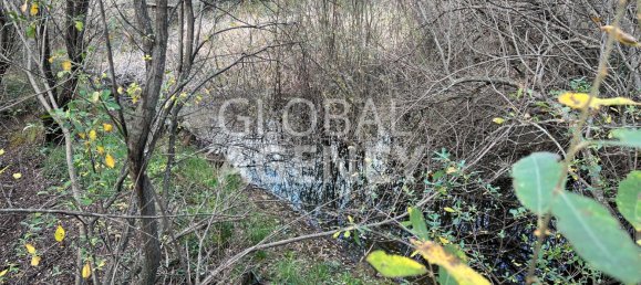 8 bedrooms House in Manzanares el Real, Spain No. 188117 12