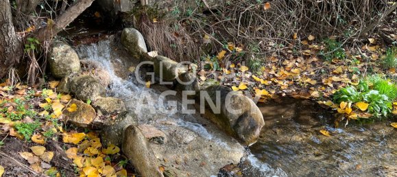 8 bedrooms House in Manzanares el Real, Spain No. 188117 18