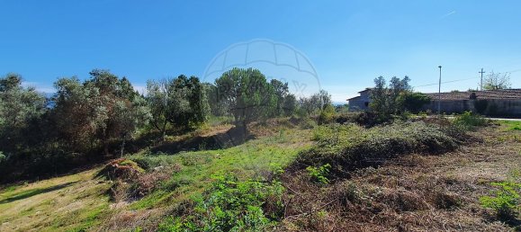 93m² Land in Nelas, Portugal No. 39388 3
