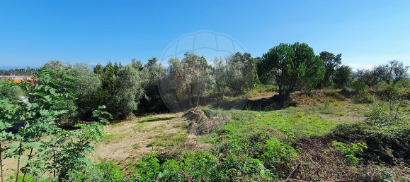 93m² Land in Nelas, Portugal No. 39388 4