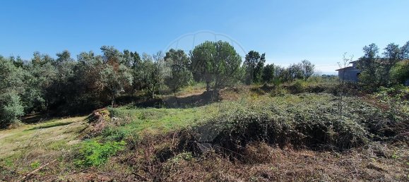 93m² Land in Nelas, Portugal No. 39388 2