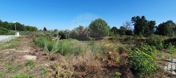 93m² Land in Nelas, Portugal No. 39388 7