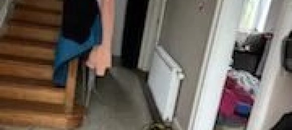 3 Schlafzimmer Haus in Joinville, France, Nr. 267325 11