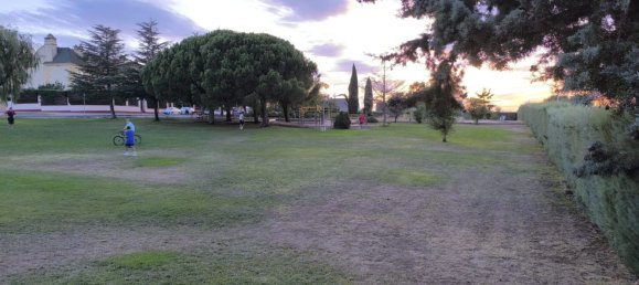 5 غرف نوم منزل في Carrascal de Barregas, Spain رقم 113764 39