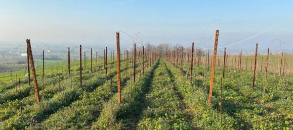 Terreno en Codevilla, Italy 1308 m² No. 176709 17