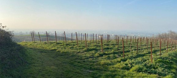 Terreno en Codevilla, Italy 1308 m² No. 176709 22