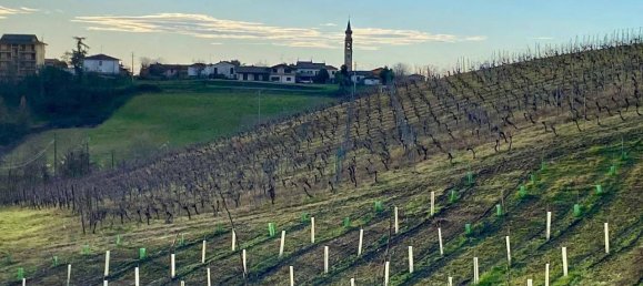 Terreno en Codevilla, Italy 1308 m² No. 176709 29