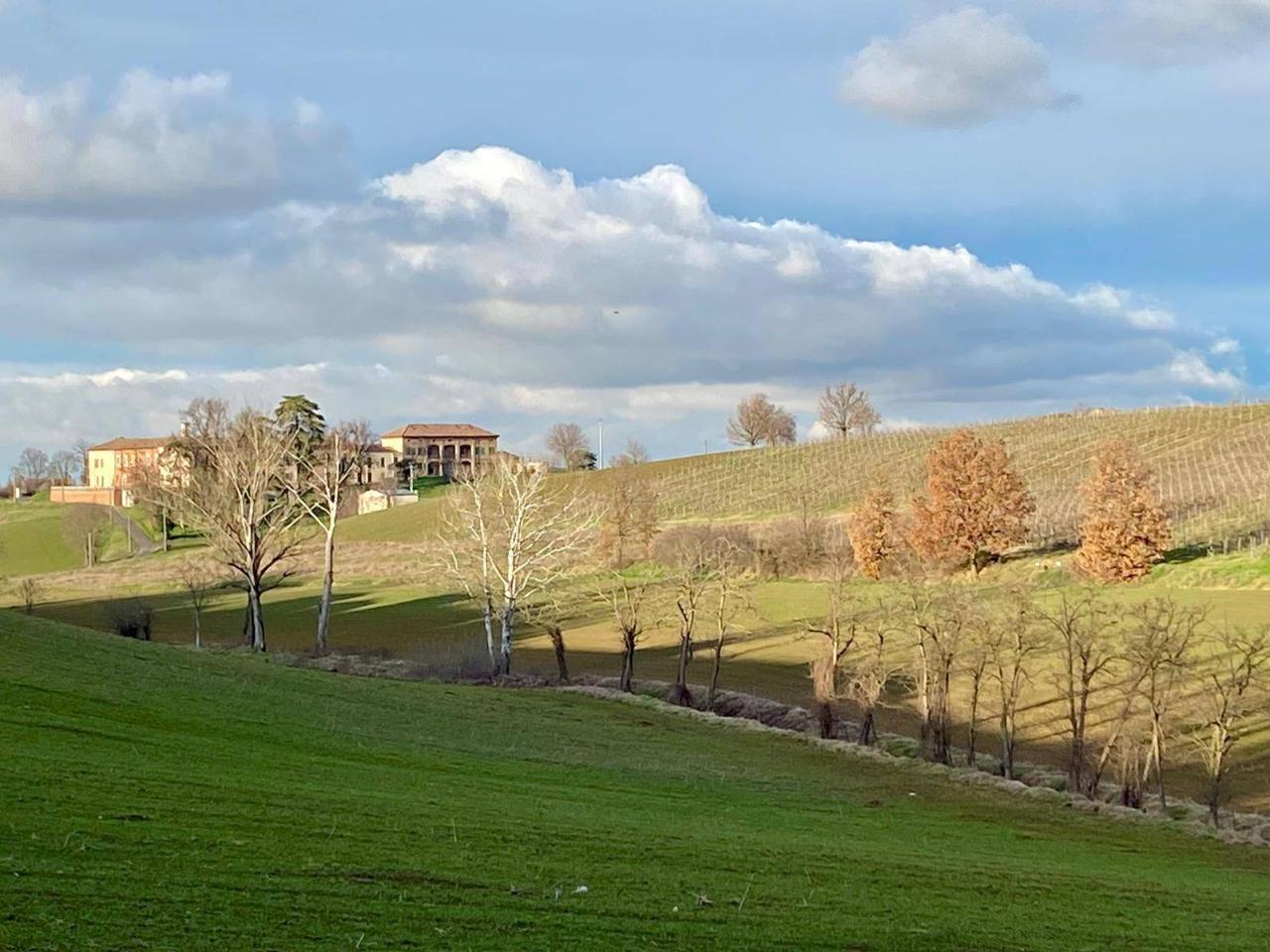 Terreno en Codevilla, Italy 1308 m² No. 176709