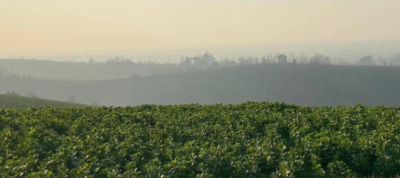 Terreno en Codevilla, Italy 1308 m² No. 176709 5