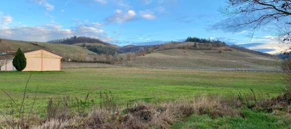 Terreno en Codevilla, Italy 1308 m² No. 176709 11