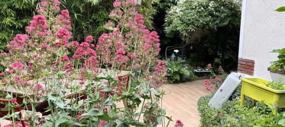 5 bedrooms House in La Frette-sur-Seine, France No. 351357 3