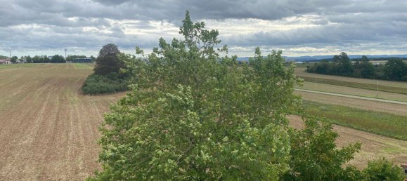 2غرفة شقة في Calw, Germany رقم 335607 2