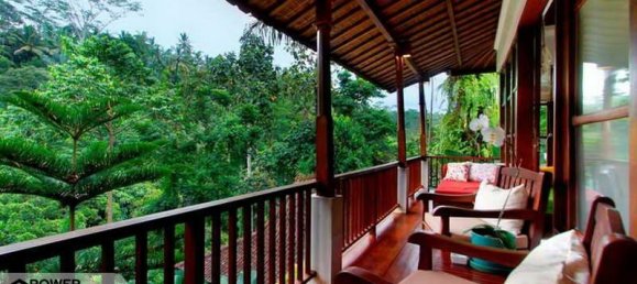 Отель, гостиница с 20 спальнями в Убуд, Индонезия № 4351 9