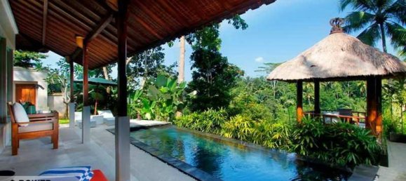 Отель, гостиница с 20 спальнями в Убуд, Индонезия № 4351 7