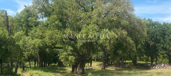 Grundstück in Sainte-Maxime, France 322900m², Nr. 285614 2