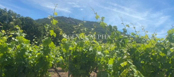 Grundstück in Sainte-Maxime, France 322900m², Nr. 285614 4