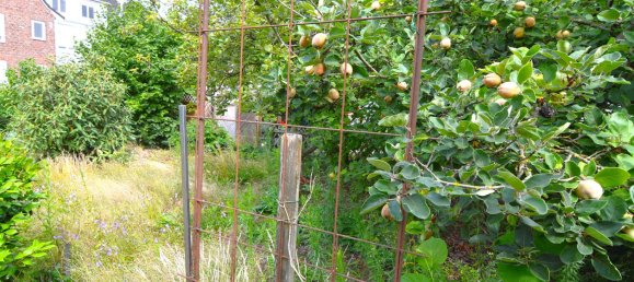 4 bedrooms House in Borken, Germany No. 251106 22