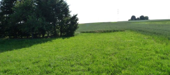  Land in Reutlingen, Germany No. 258000 13