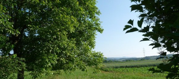  Land in Reutlingen, Germany No. 258000 11