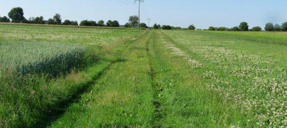  Land in Reutlingen, Germany No. 258000 3