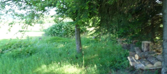  Land in Reutlingen, Germany No. 258000 15