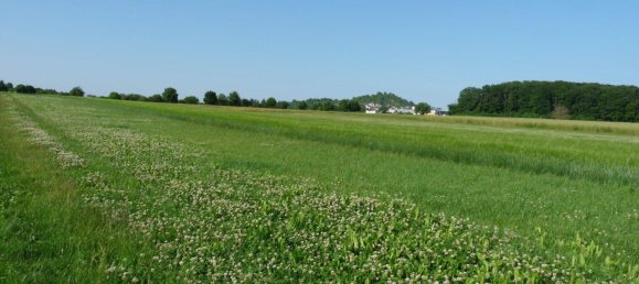  Land in Reutlingen, Germany No. 258000 19