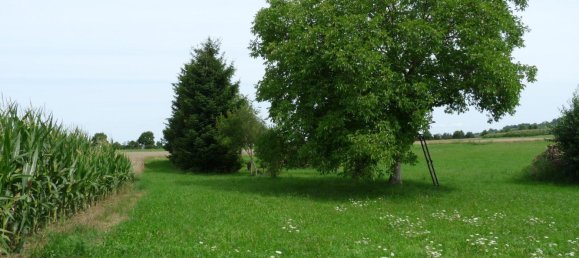  Land in Reutlingen, Germany No. 258000 12