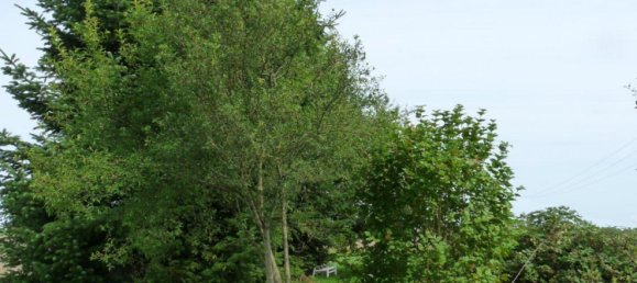  Land in Reutlingen, Germany No. 258000 20