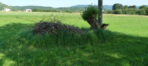  Land in Reutlingen, Germany No. 258000 9