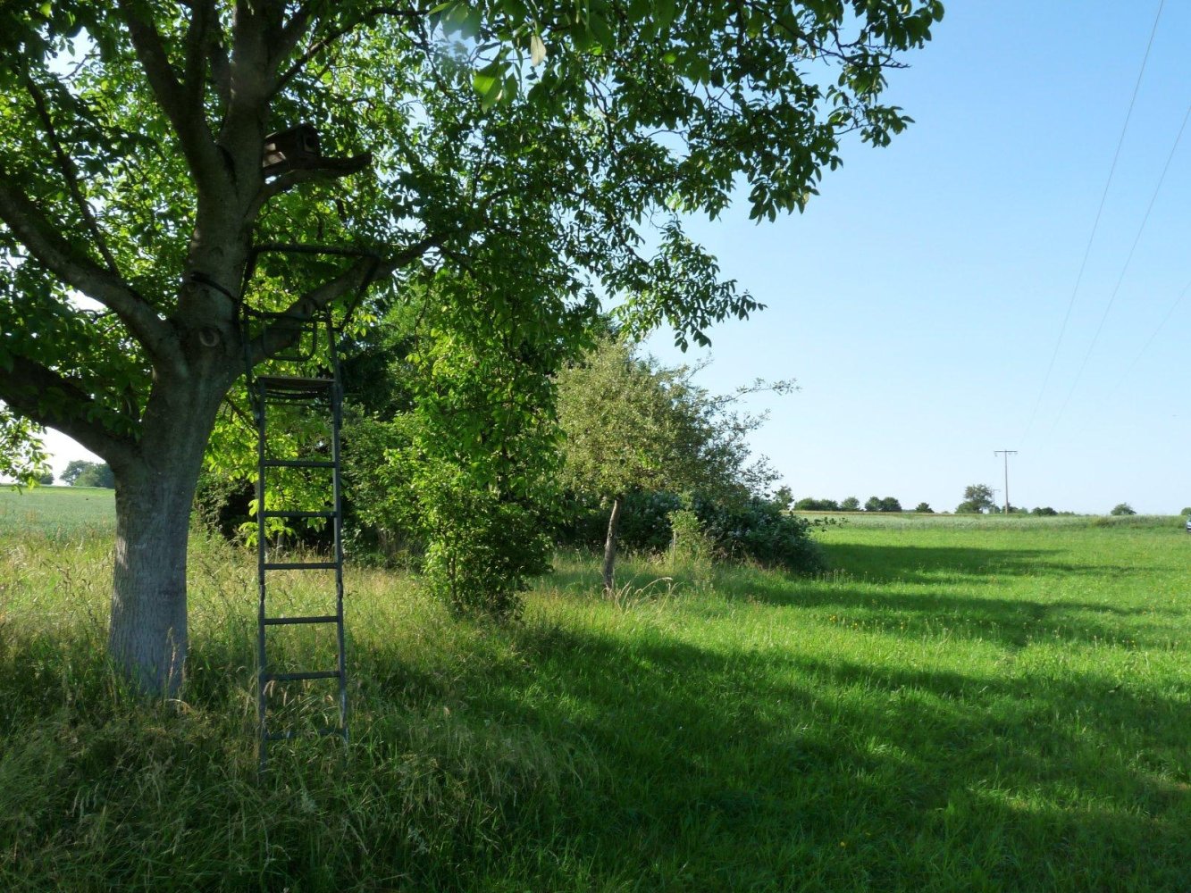  Land in Reutlingen, Germany No. 258000