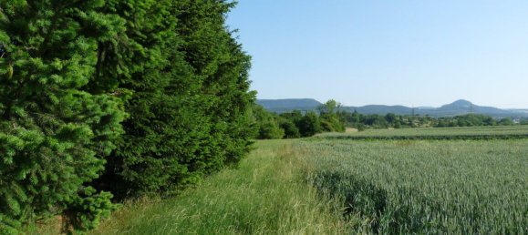  Land in Reutlingen, Germany No. 258000 18