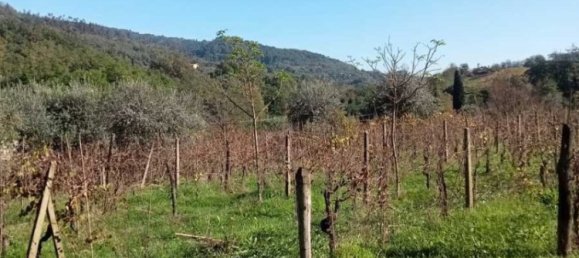 3 chambres Maison à Montecatini Terme, Italy No. 130289 5