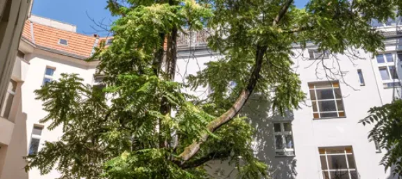 2 غرف نوم شقة في Neukolln, Germany رقم 312291 6