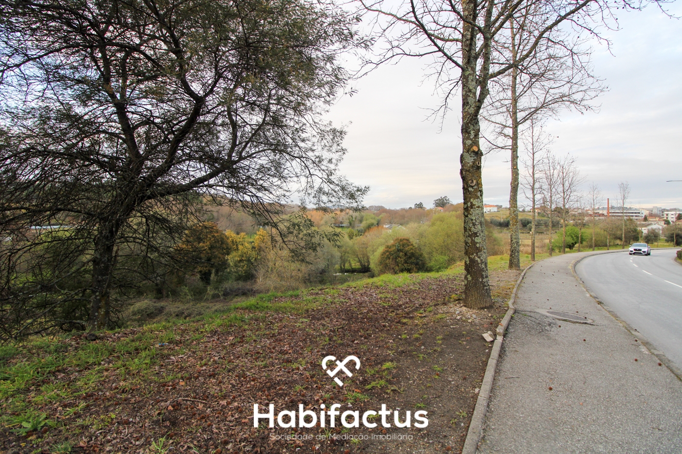 Terreno en Viseu, Portugal No. 72745