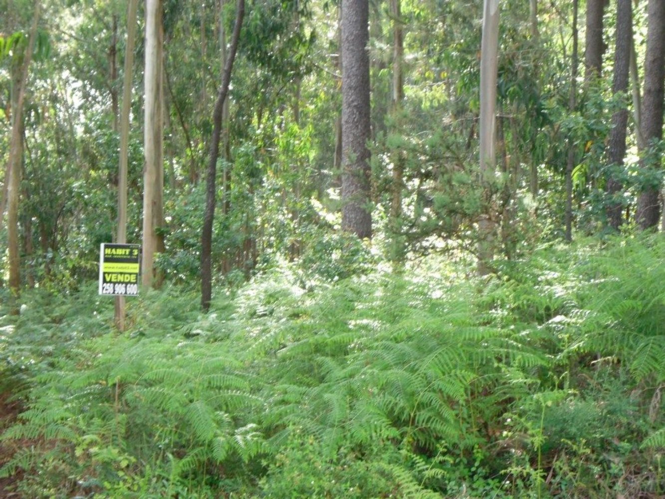 Земельный участок в Понти ди Лима, Португалия № 335716