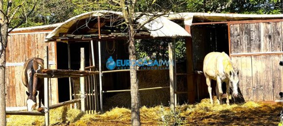 2-salle Terrain à Carpi, Italy No. 283706 31