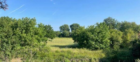 7 chambres Maison à Wiener Neustadt, Austria No. 256634 4