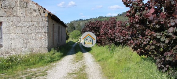 5 bedrooms House in Silgueiros, Portugal No. 58254 21